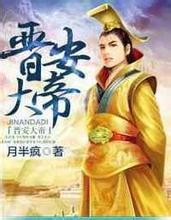 晋安大帝封面