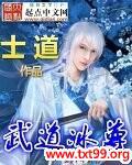 武道冰尊封面