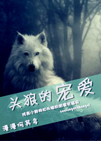 头狼的宠爱 头狼的宠爱