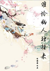 谁怜幽人独往来封面
