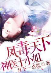 凤毒天下:神医十小姐封面