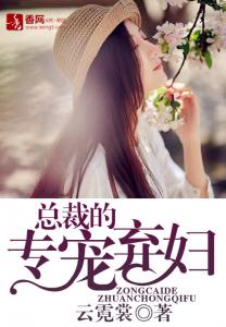 总裁的专宠弃妇封面