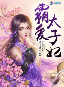 霸爱太子妃封面