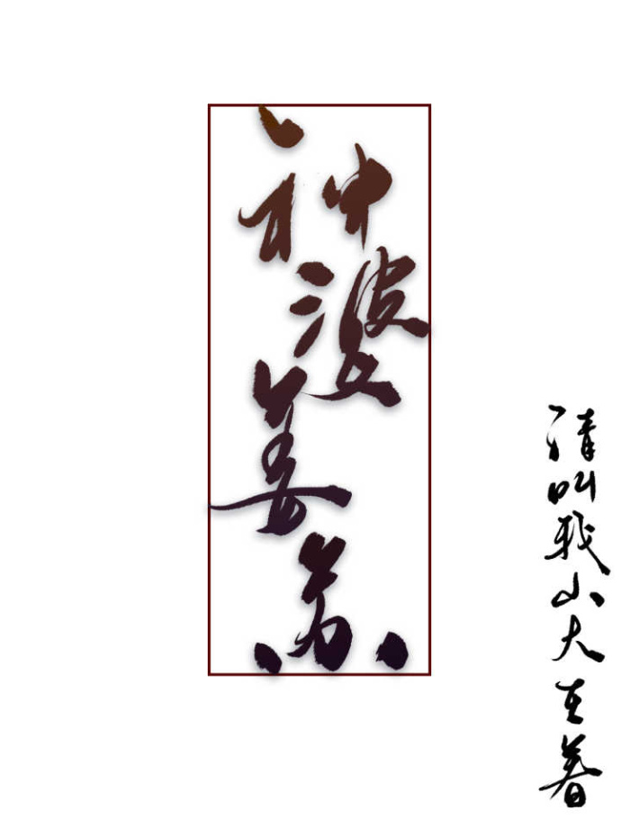 神婆姜苏封面