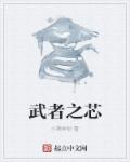 武者之芯封面