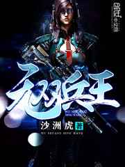 无双兵王封面