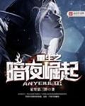 重生之暗夜崛起封面