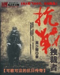 抗战独裁者 抗战独裁者
