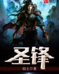 圣锋 圣锋