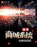 神级商城系统 神级商城系统