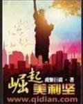 崛起美利坚封面