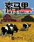 索马里大领主封面