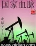 国家血脉封面