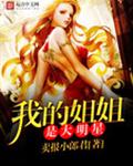 我的姐姐是大明星封面