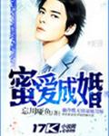 蜜爱成婚封面