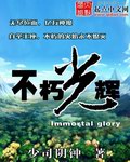 不朽光辉
