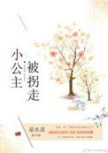 小公主被拐走后封面