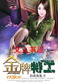 金牌特工封面