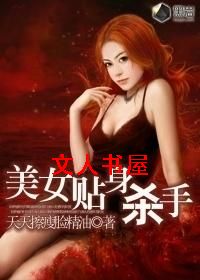 美女贴身杀手封面