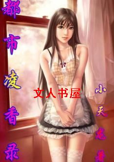 都市凌香录封面