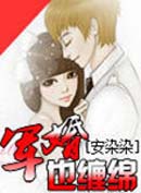 军婚也缠绵封面