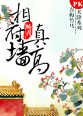 相府墙真高 相府墙真高