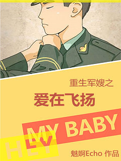 重生军嫂之爱在飞扬封面