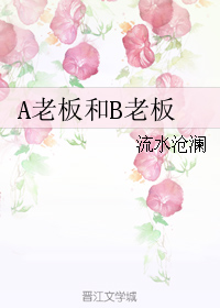 a老板和b老板 a老板和b老板