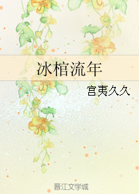 冰棺流年封面