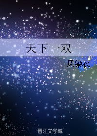 天下一双 天下一双