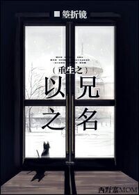 重生之以兄之名 重生之以兄之名