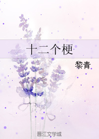 十二个梗 十二个梗