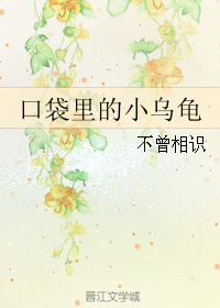 口袋里的小乌龟 口袋里的小乌龟