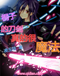(刀剑神域同人)桐子的刀剑真的很魔法封面