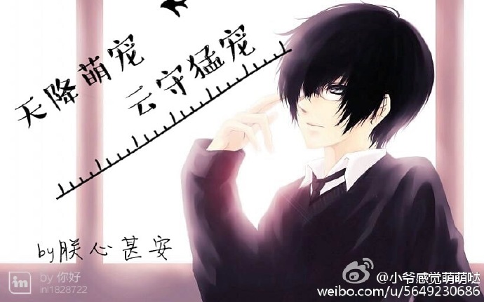 (家教同人)天降萌宠,云守猛宠 (家教同人)天降萌宠,云守猛宠