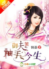 御夫策,袖手今生封面