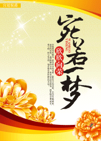 宛若一梦封面